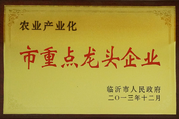 市重点龙头企业
