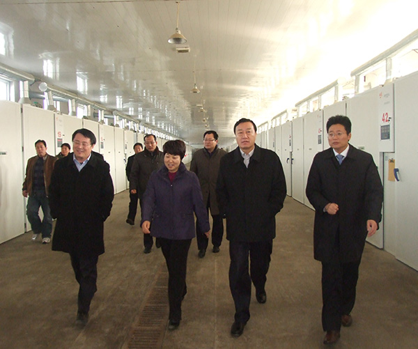 市委副书记、市长调研